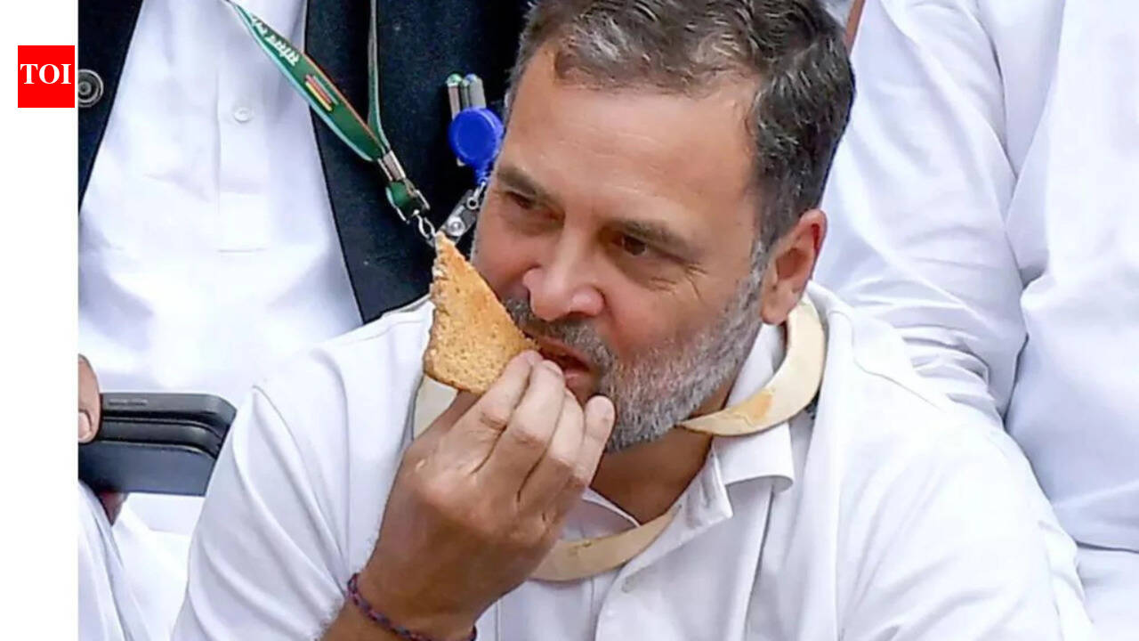 Retired officials demand Rahul Gandhi's apology over Parliament protest