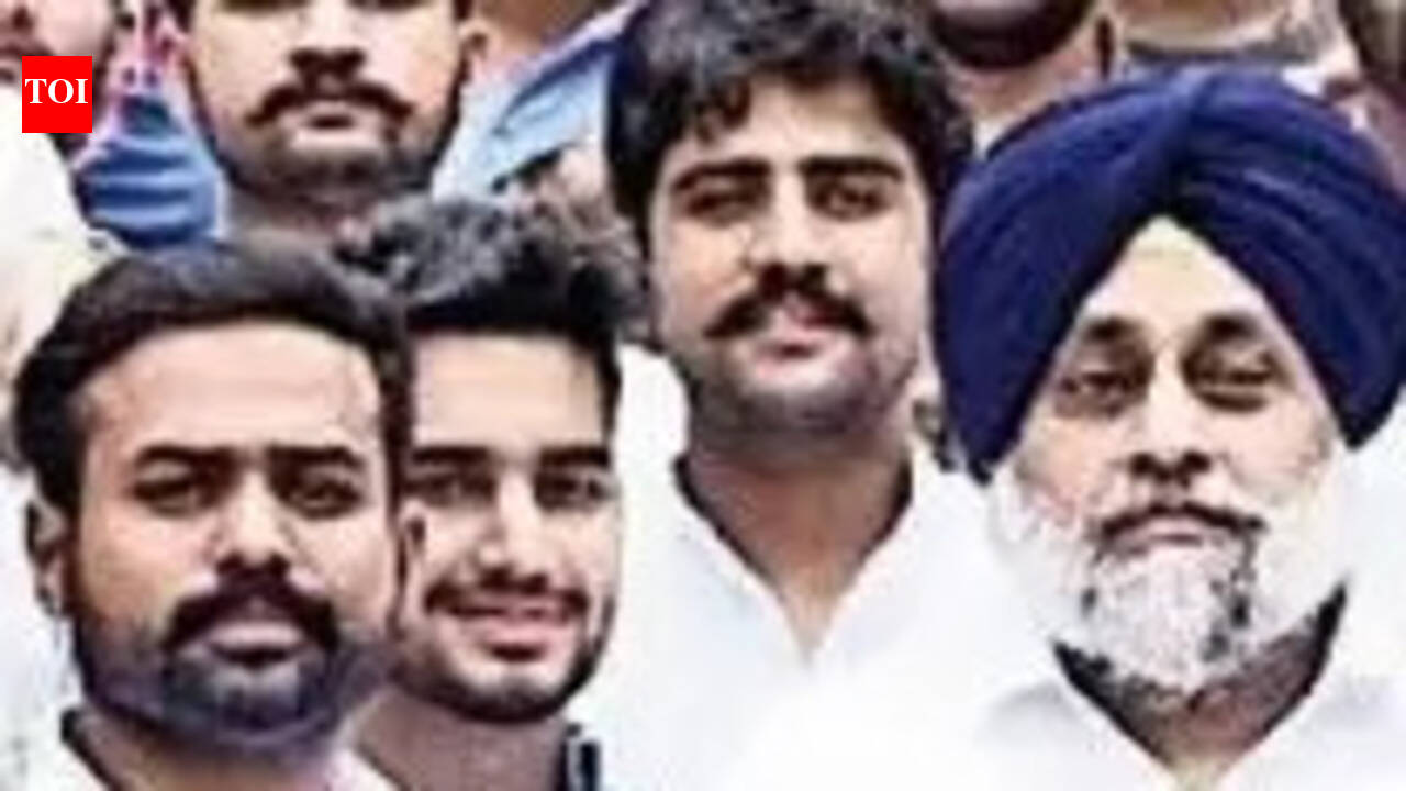 From SOI roots to SOPU ranks, Jawandha linked to varsity clashes, rifts