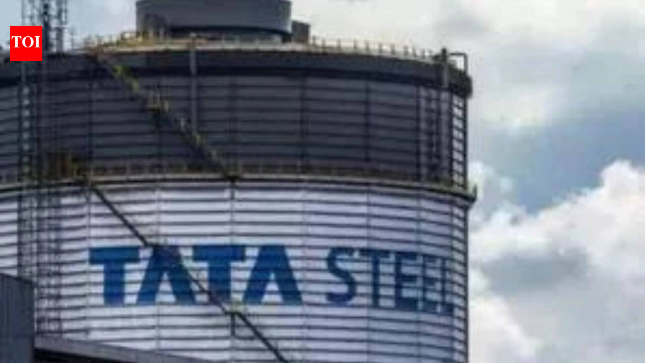 Tata Steel plans to merge Neelachal Ispat with itself