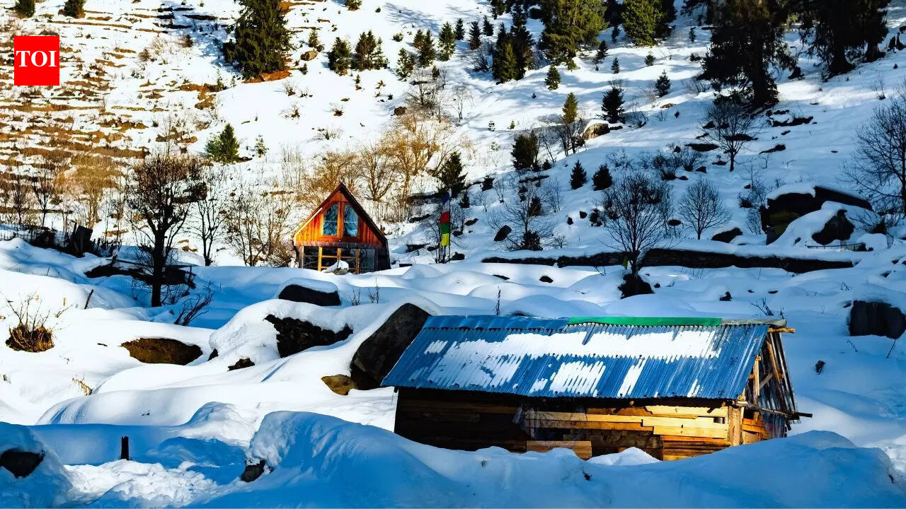 Manali Shimla Weather: Manali travel hit after heavy snowfall, Shimla sees relief—IMD predicts more snow in these areas | - The Times of India