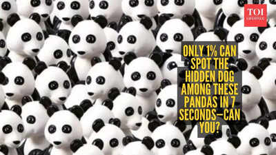 Optical illusion IQ test: Think you have sharp eyes? Find the hidden dog in this panda puzzle in 7 seconds