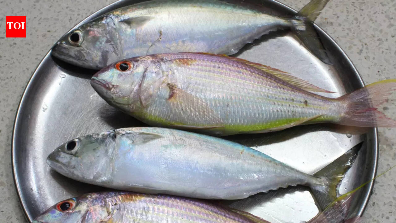 Karnataka’s reservoirs power fish on your plate with 4.5 crore fry