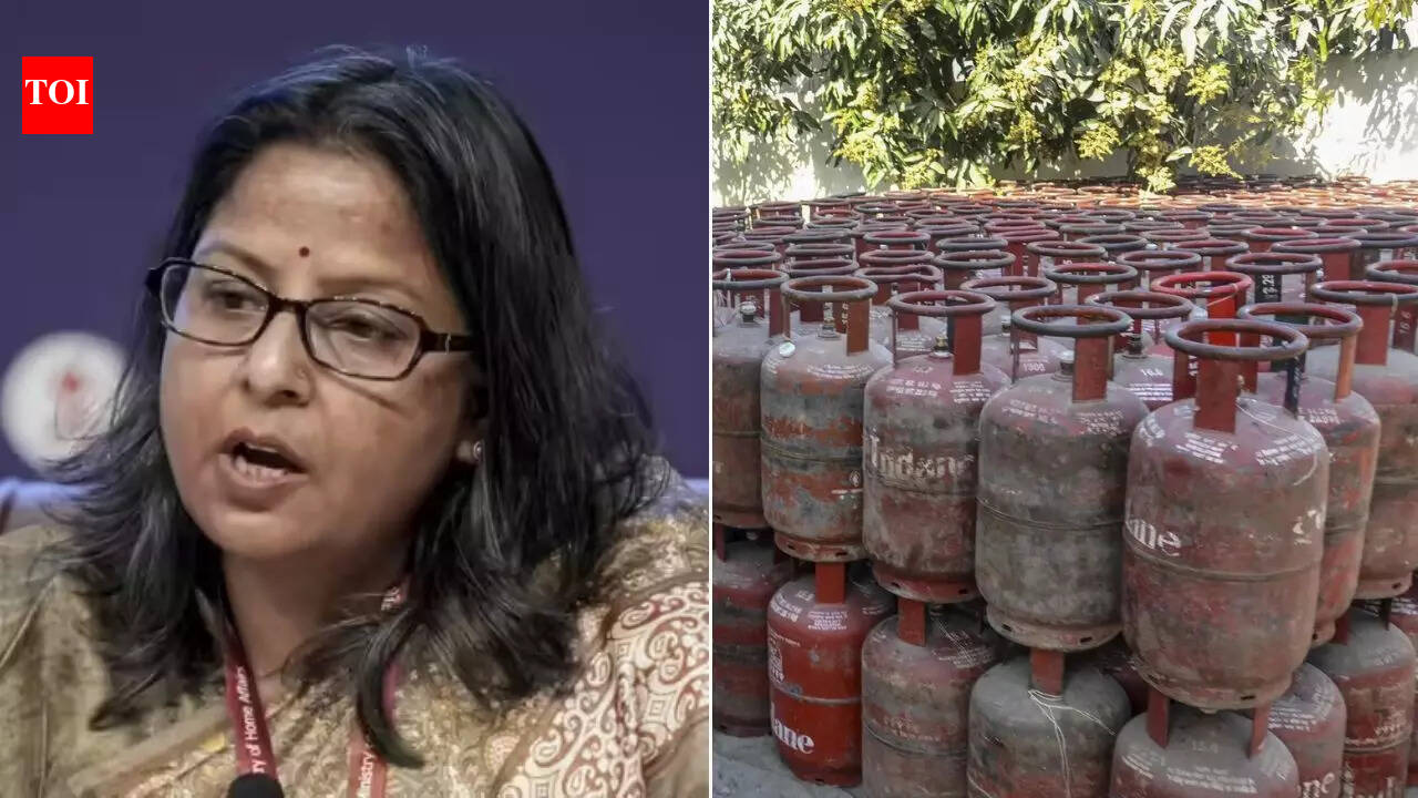 'Issue still worrisome': Govt offers extra 10% commercial LPG to states backing PNG transition push