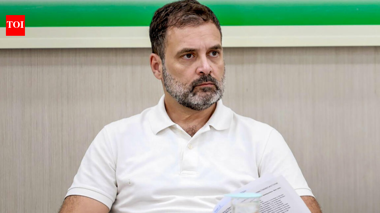 LDF mulls free bus travel for women