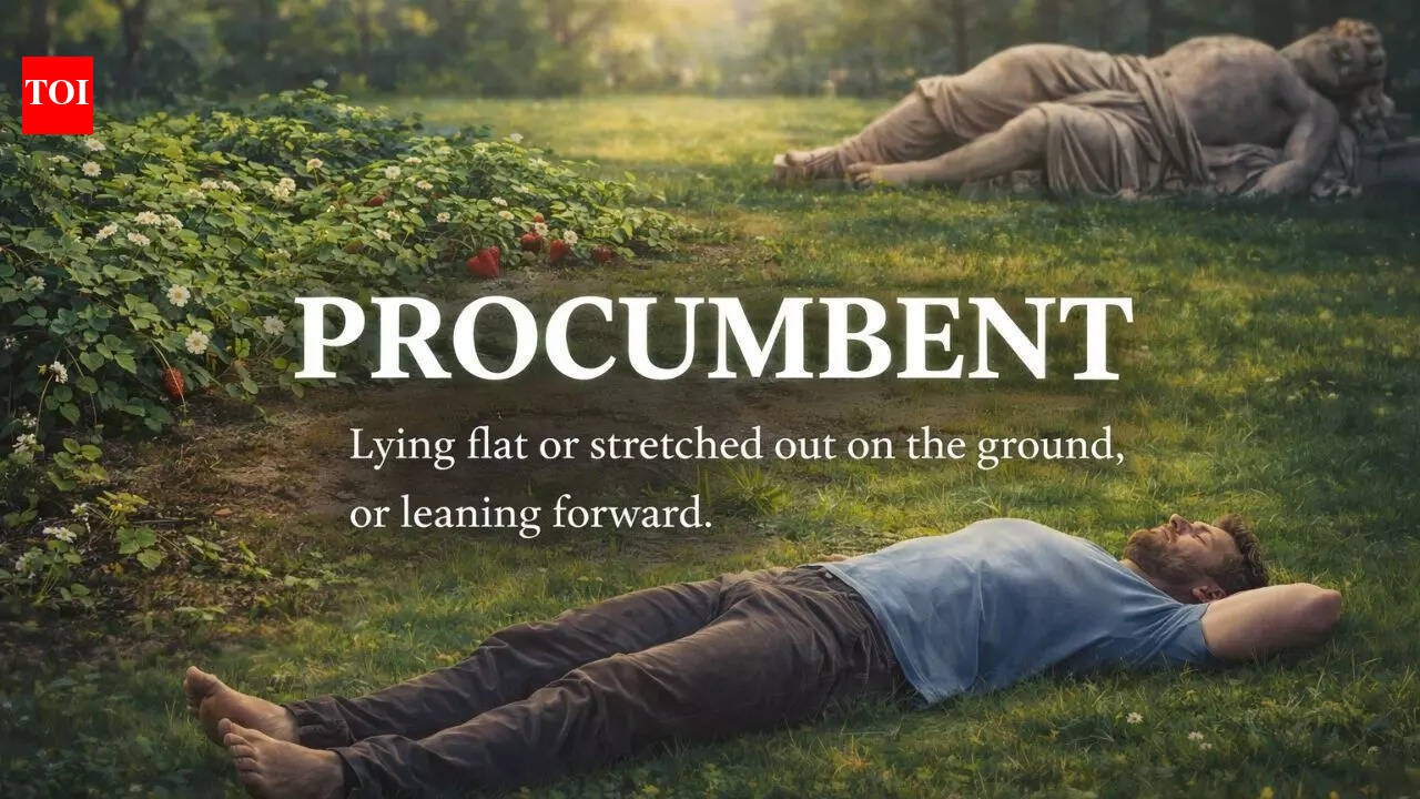Word of the day: Procumbent