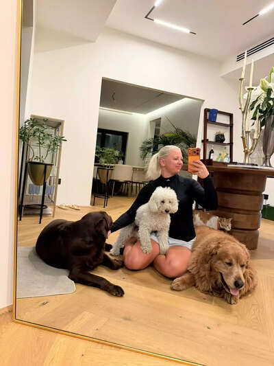 Dubai pets get a second chance at life amid crisis