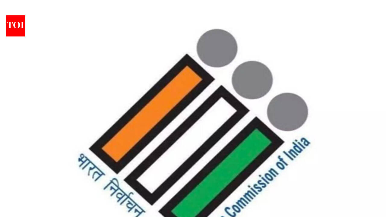 Odisha govt warns people against fake website on CEO