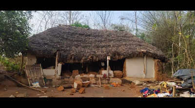 2-year-old killed as elephant demolishes house