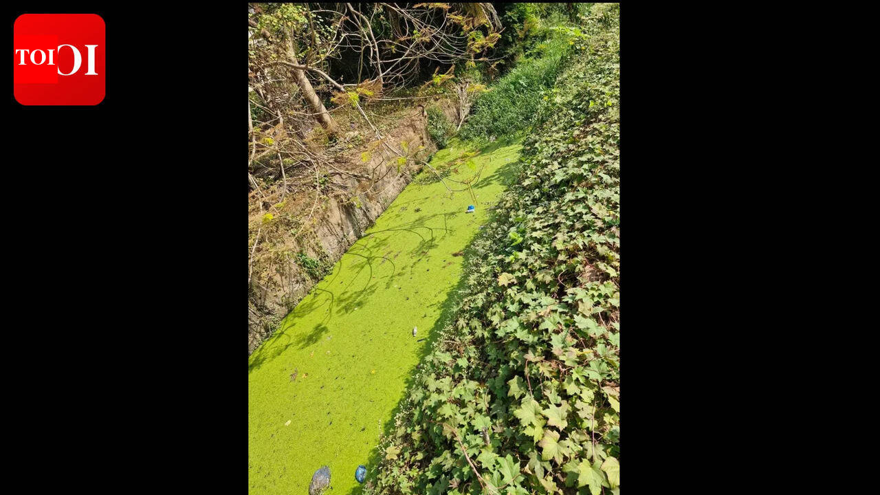 Data shows ‘zero oxygen’ stretches in Sal, sewage and waste choking lifeline