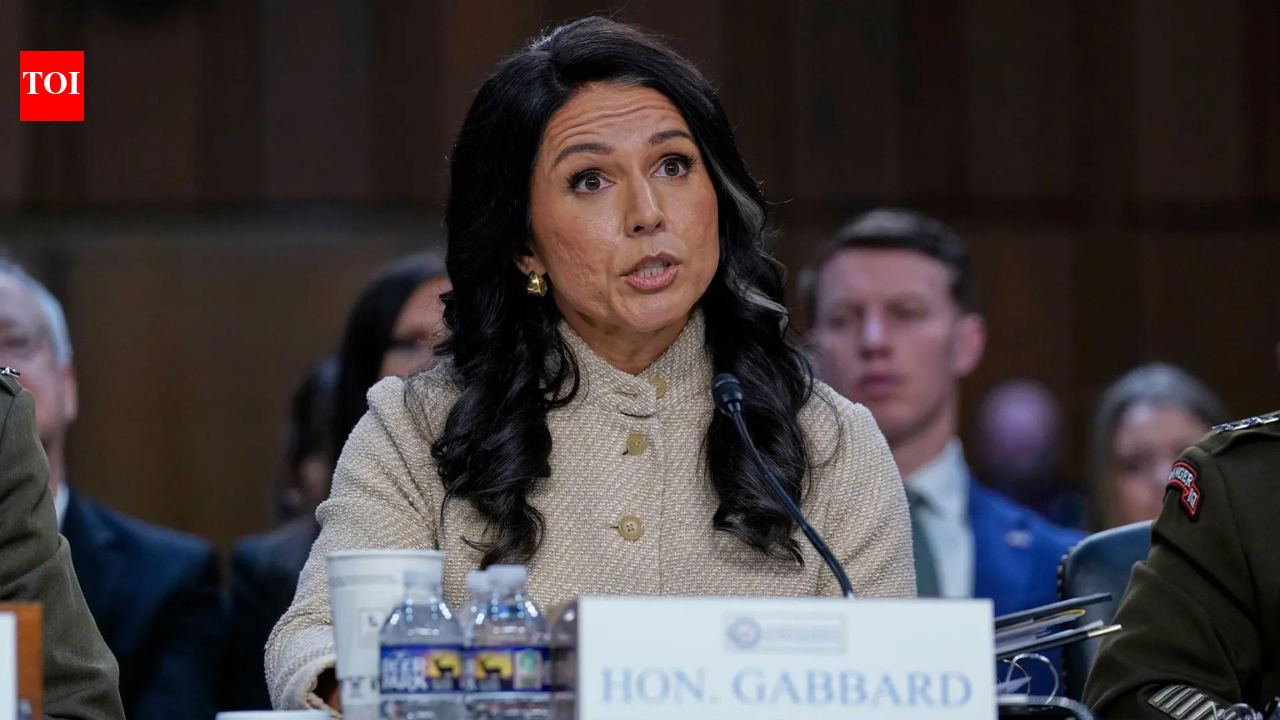 US Intel chief Tulsi Gabbard rules out foreign threat to November elections