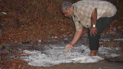 Hailstorm lashes Shivamogga, worries farmers