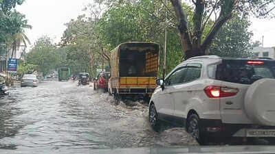 Hailstorm lashes Shivamogga, worries farmers