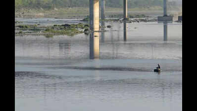 Plan to procure two AC boats with VIP seats may be tweaked