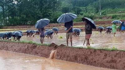 Parabhava year will bring good rains, economic growth: Somayaji