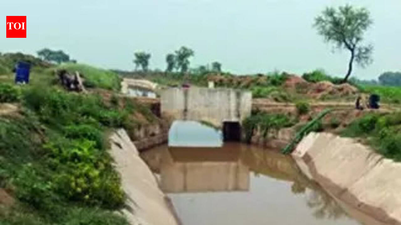 North Koel project may miss deadline again as land acquisition hurdles persist