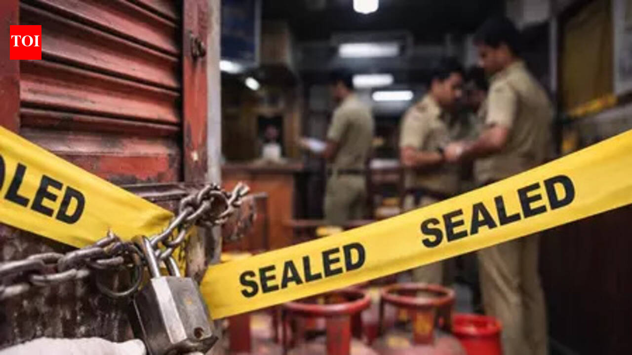 419 LPG cylinders seized, 21 held in state; 4 eateries sealed in Patna
