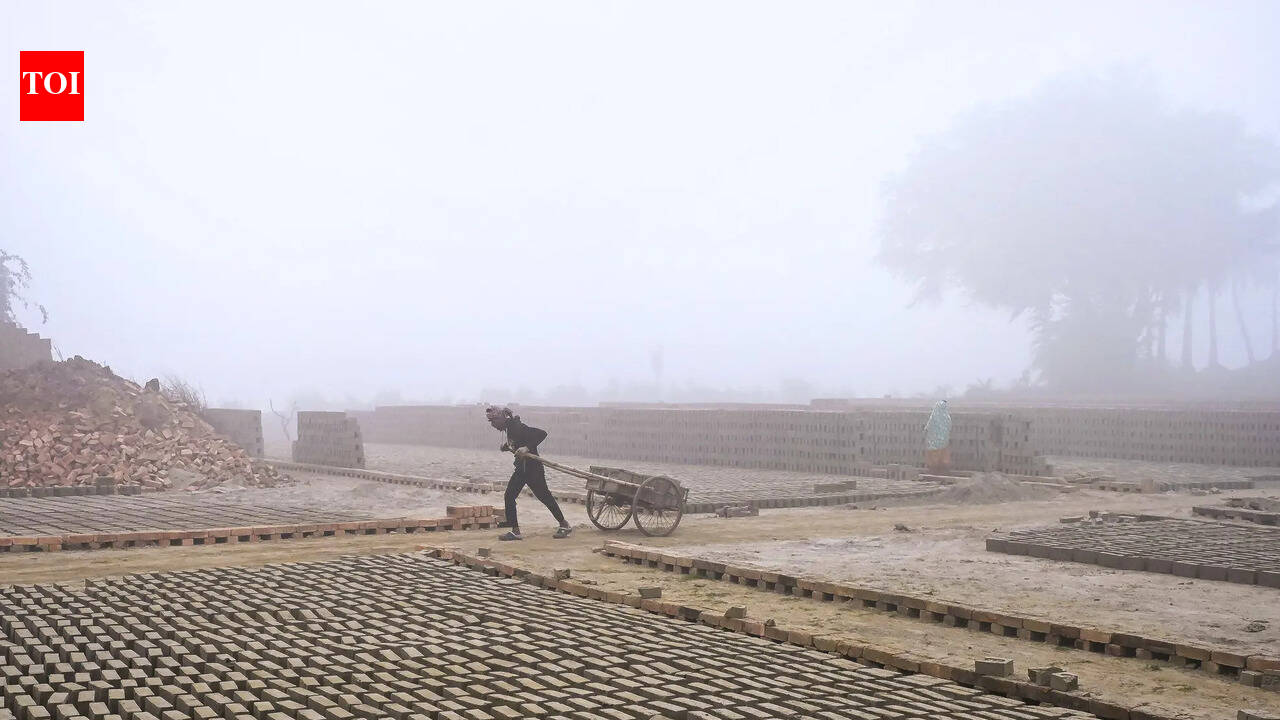 Rescue of 62 bonded labourers in Gaya triggers debate over accountability