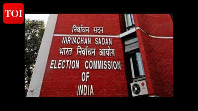 Minor errors in voter card to be overlooked for Ponda bypoll: EC