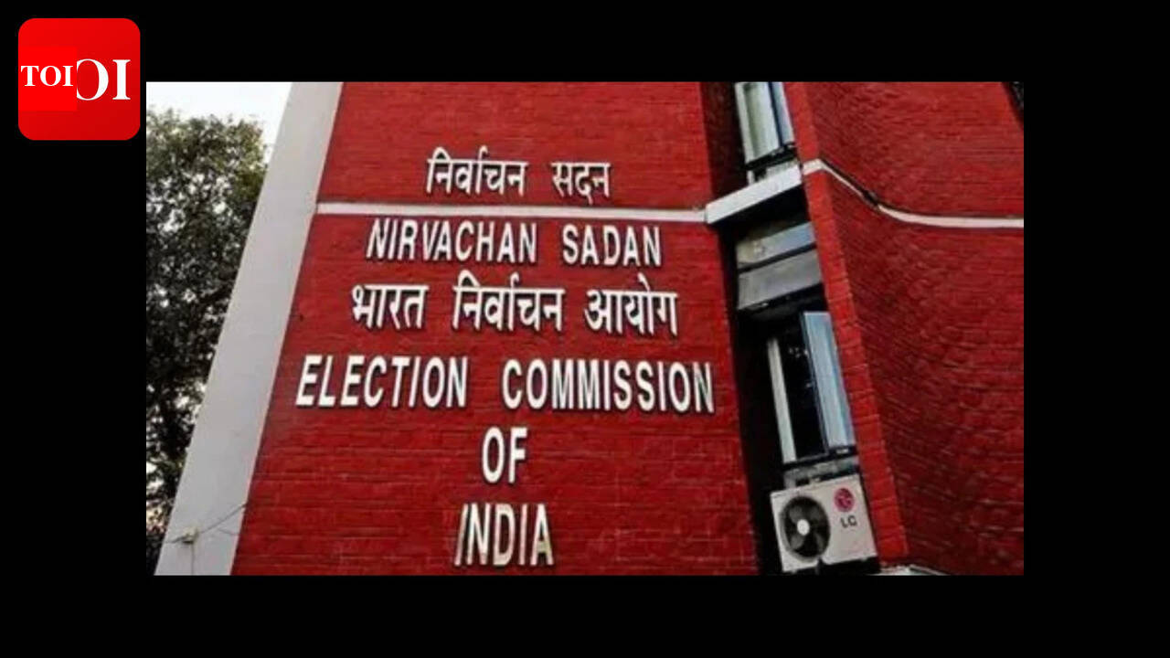 Minor errors in voter card to be overlooked for Ponda bypoll: EC