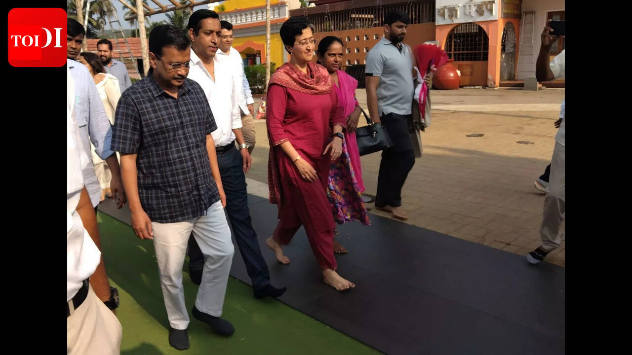 AAP likely to field local businessman for Ponda bypoll