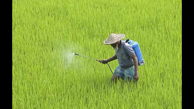 Agri growth jumped from 8.5% to 18% since 2017: CM