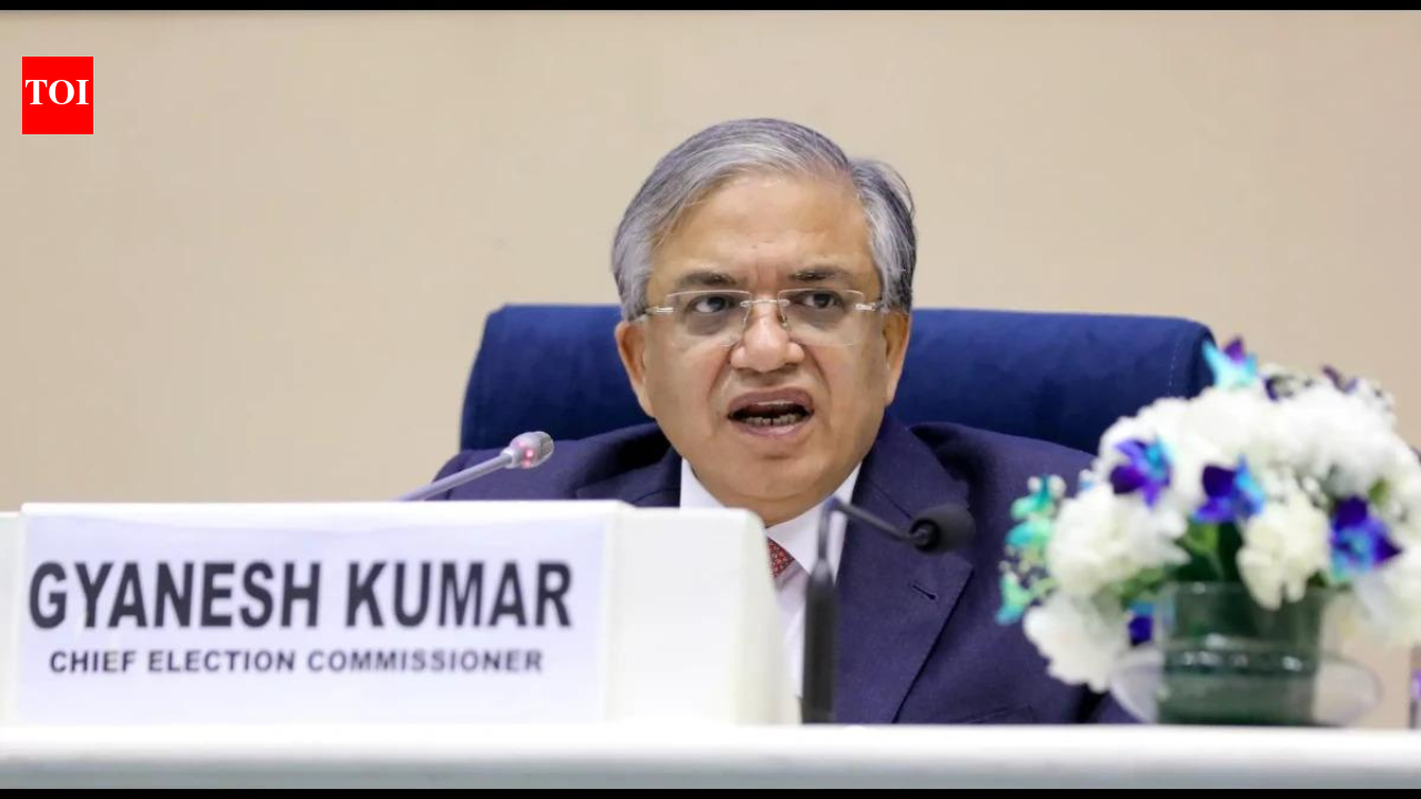 Zero tolerance for any kind of violence, intimidation: CEC