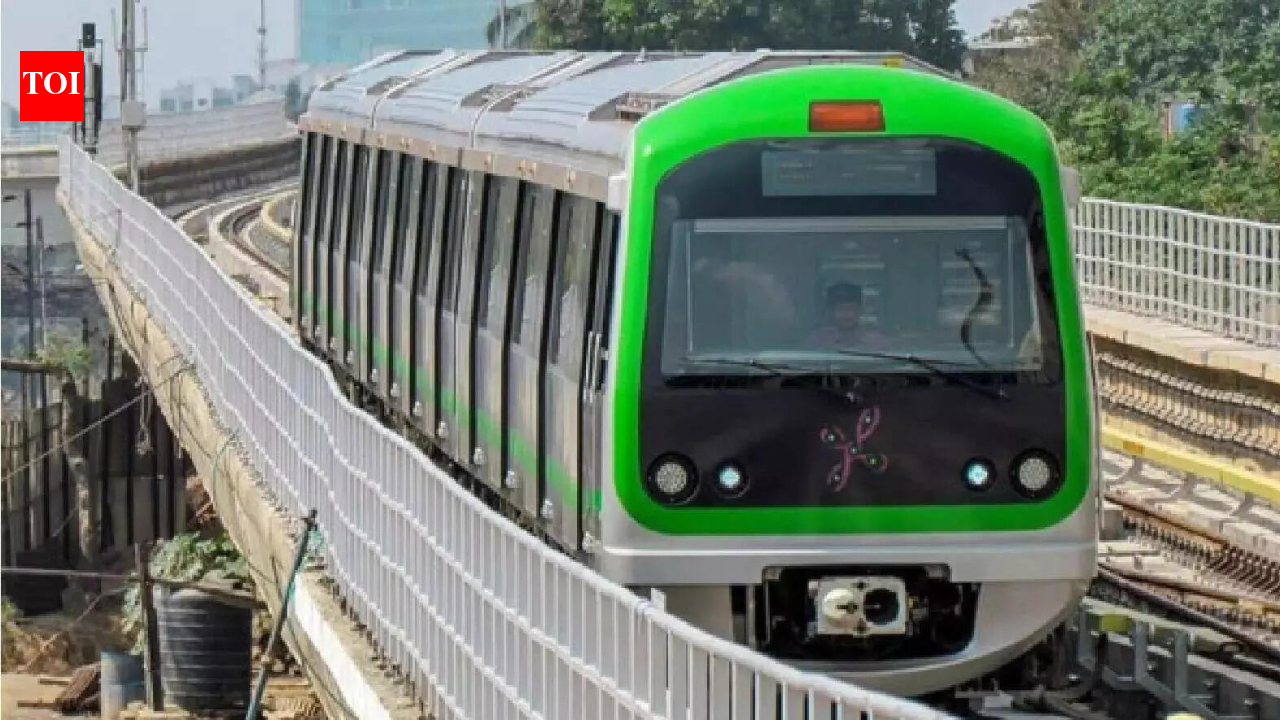 Bengaluru Metro mayhem: 11 detained for on-board song &amp; dance