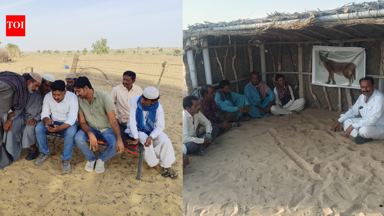 Caracal killing in Jaisalmer triggers awareness drive to protect endangered species