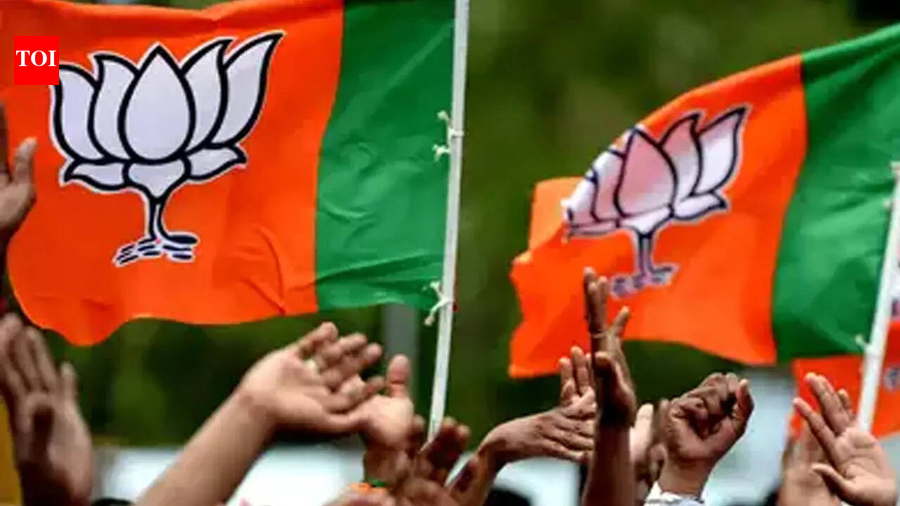 BJP earnings 2x other parties combined, says ADR report