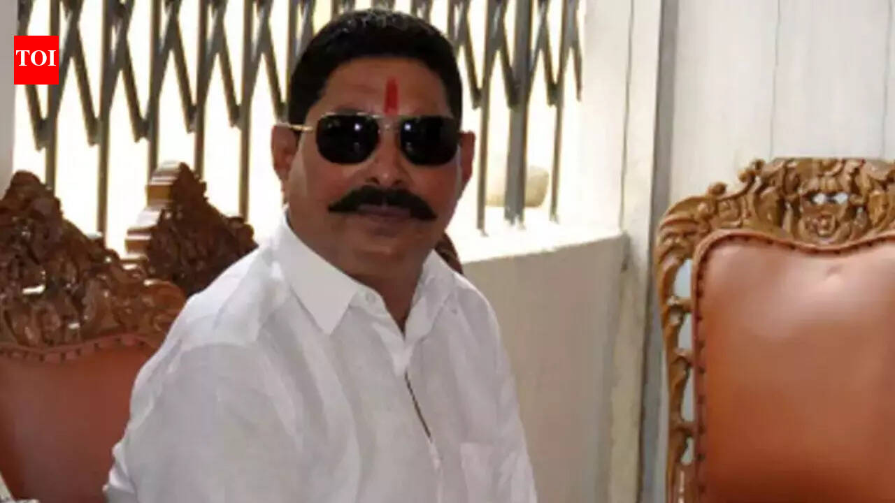 Dularchand Yadav murder case: Patna high court grants bail to JD(U) MLA Anant Singh