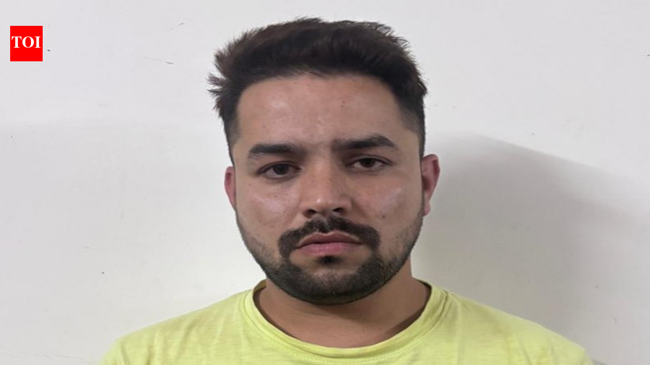 Engineer by day, gun runner by night? Bhopal man linked to Bengaluru arms supply arrested