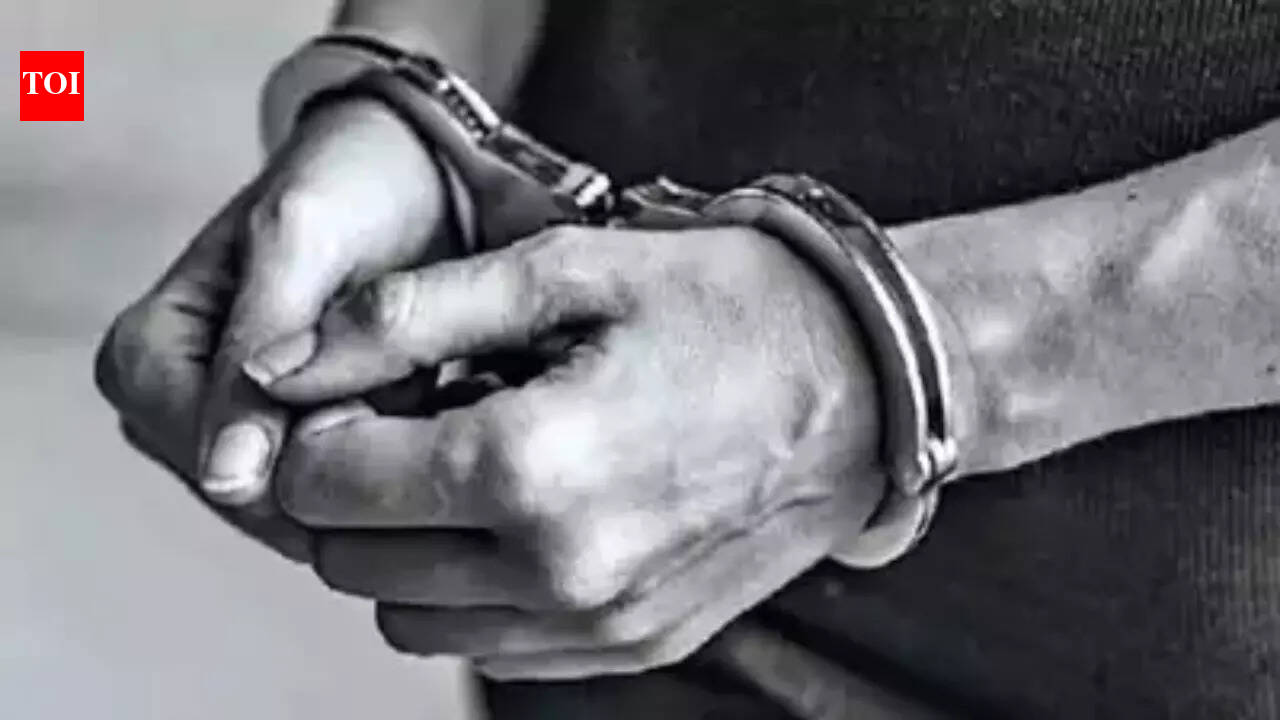 Indian origin Sital Singh gets 4 years in US for $9.3 million elder fraud scheme; court ordered him to pay $6.6 million in restitution