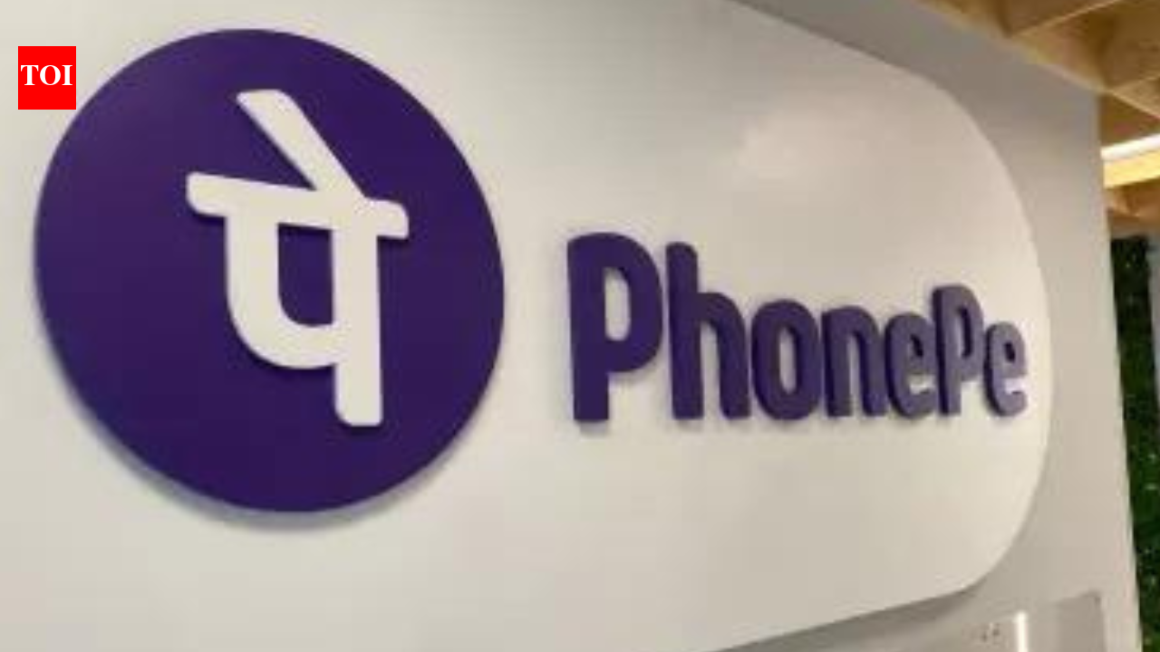 ‘Calculated strategic move’: Why PhonePe put a pause on IPO