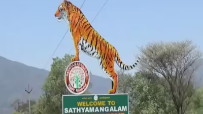 Action taken against 42 illegal resorts inside Sathyamangalam Tiger Reserve, Tamil Nadu govt tells Madras high court