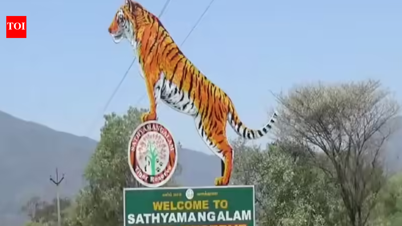 Action taken against 42 illegal resorts inside Sathyamangalam Tiger Reserve, Tamil Nadu govt tells Madras high court