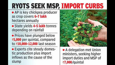Cheaper imports trigger chickpea price crash