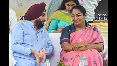 Govt mulls new bridge over Yamuna,Gandhi Nagar market redevelopment