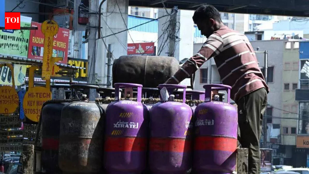 Commercial LPG crunch pushes eateries to hike prices, tweak portions