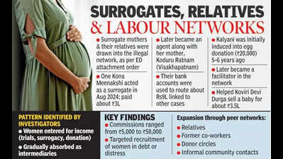 Clinical trials to baby sales: ED maps exploitation chain in surrogacy racket