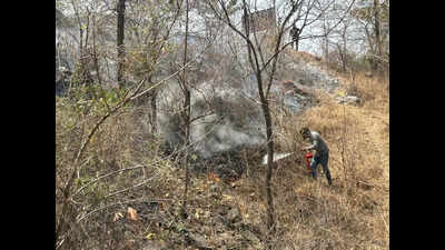 Pune’s Green Spaces Scorched As Manmade Fires Go Unchecked