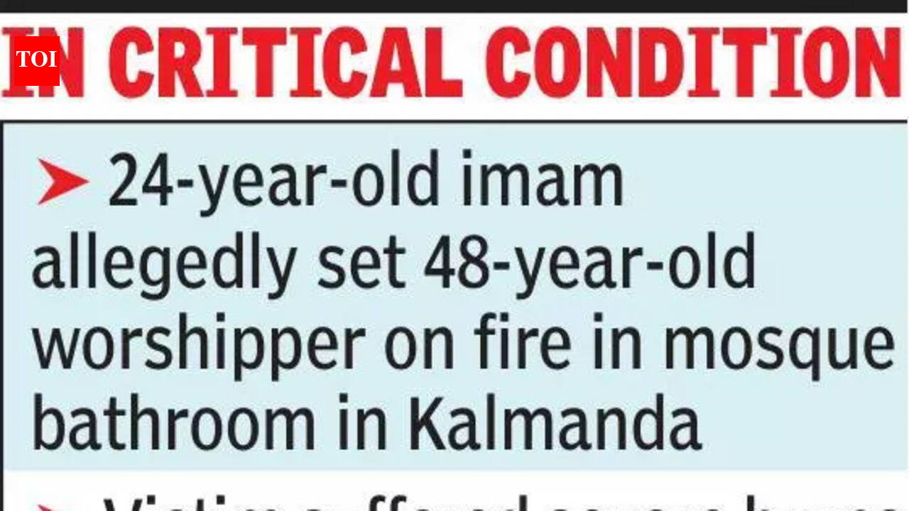 timesofindia.indiatimes.com