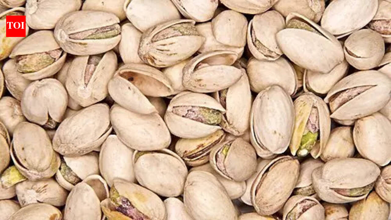 Grow a pistachio plant at home: The right way to build your own mini garden | – The Times of India