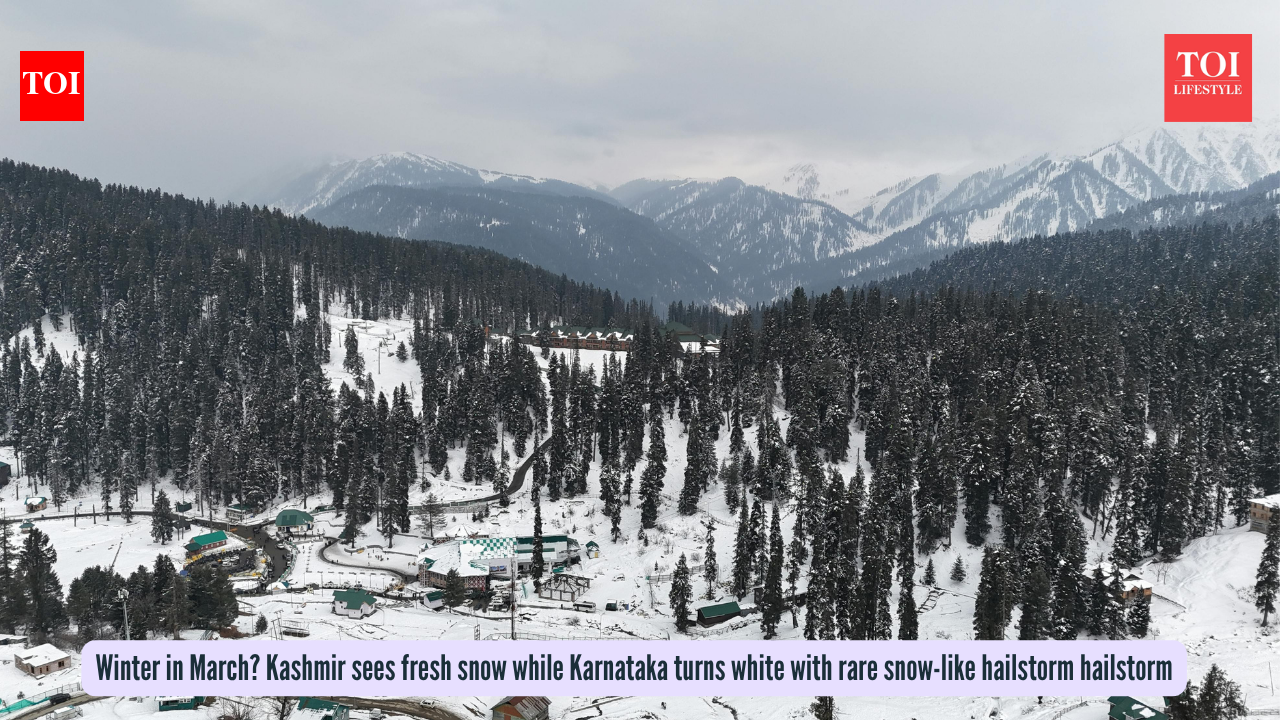 Winter in March? Kashmir sees fresh snow while Karnataka turns white with rare snow-like hailstorm hailstorm