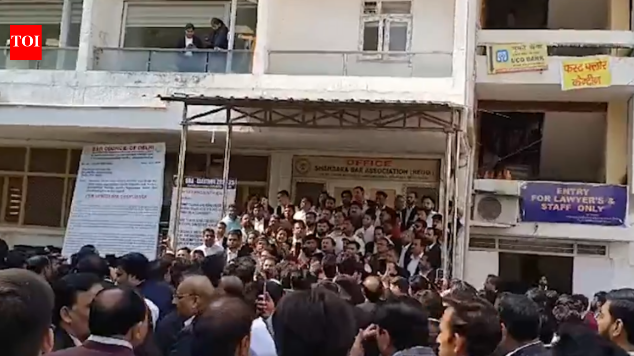 Lawyers suspend work at Karkardooma court, deny police entry: What led to protest?