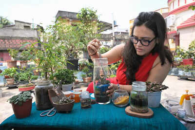  Build your terrarium, one layer at a time