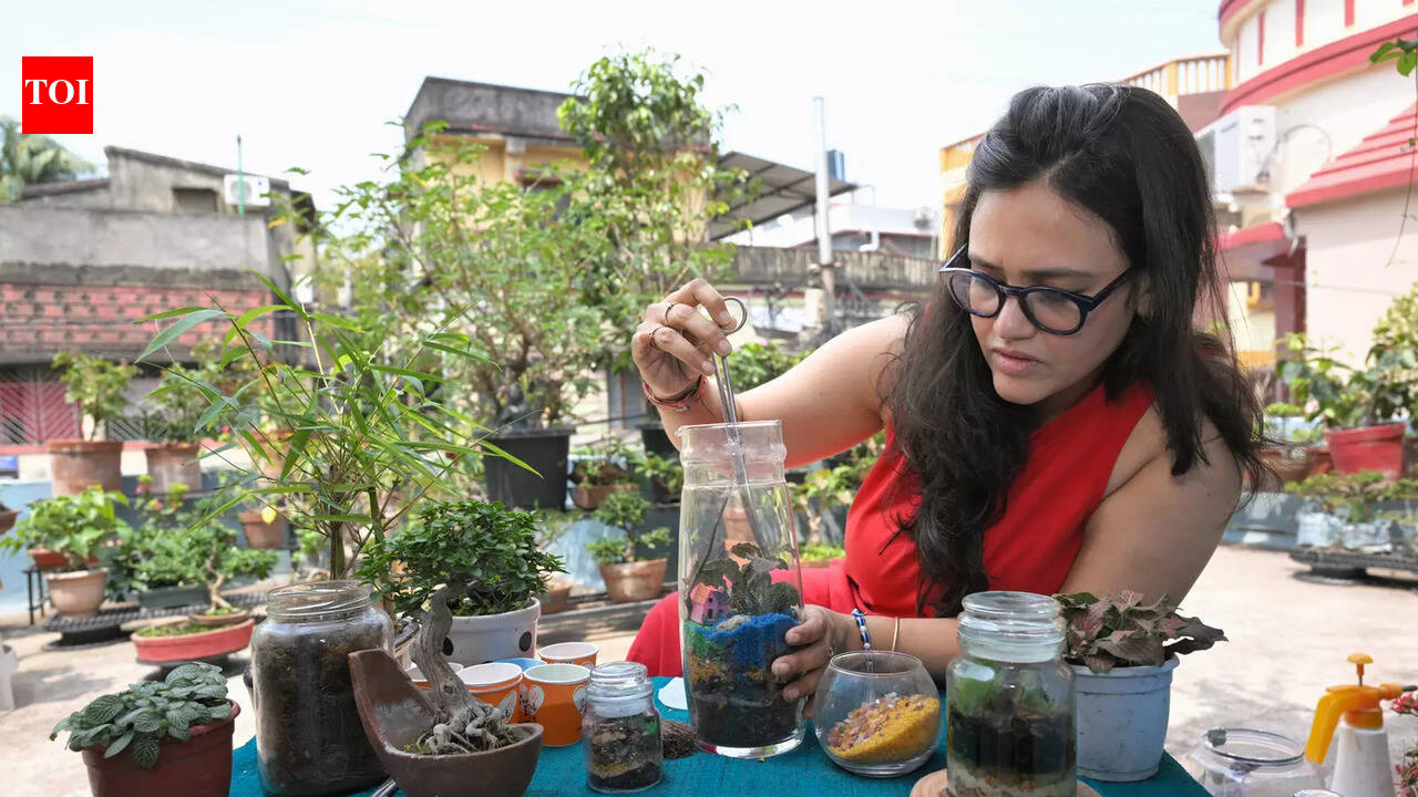 Garden in a jar: Build your terrarium, one layer at a time