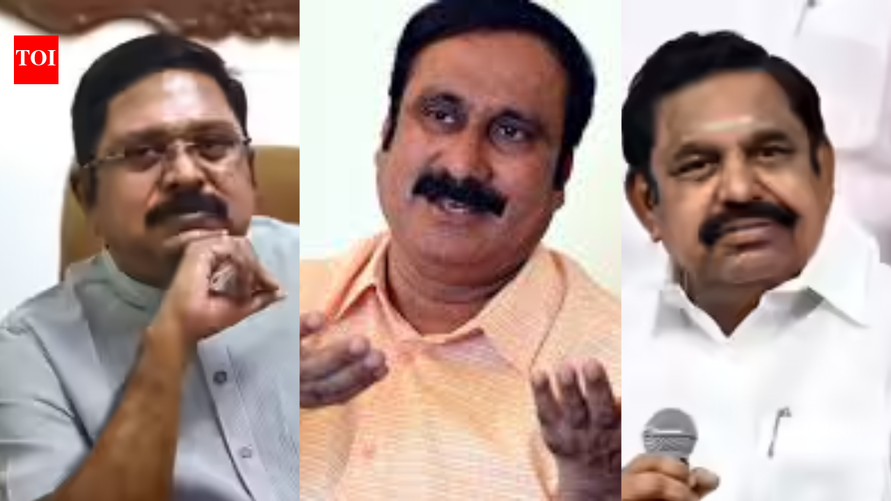Tamil Nadu polls: T T V Dhinakaran, Anbumani Ramadoss in Delhi for seat sharing; EPS says deal in 4 days