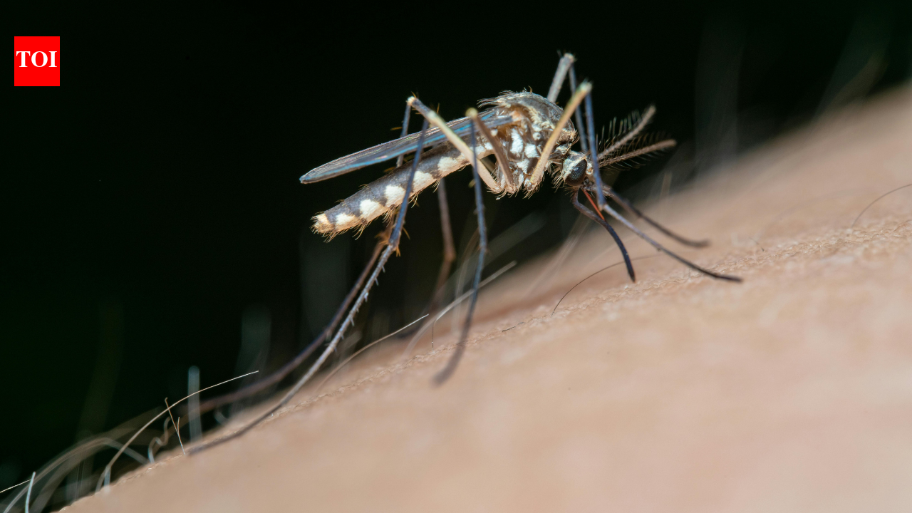 Scientists discover “rocket engines” inside malaria parasites: What are they and how do they work