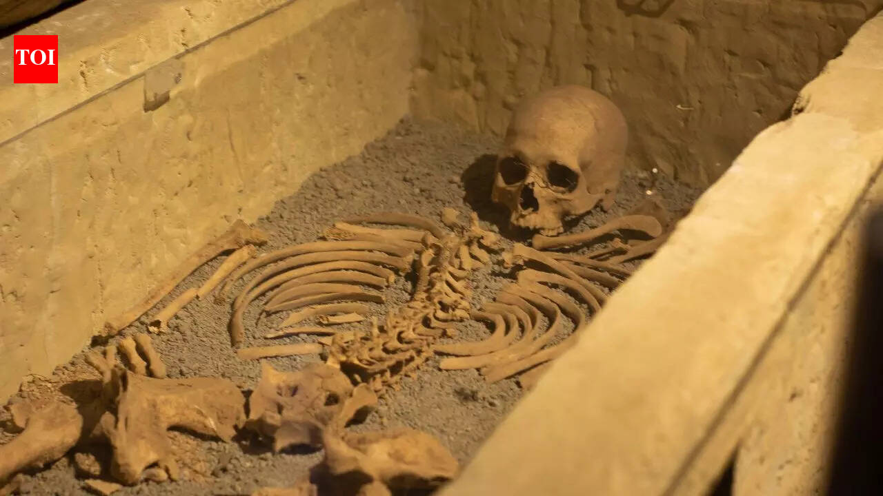 The coffin that fell from the sky: The 1,900-year-old mystery of the 'Princess of Bagicz'