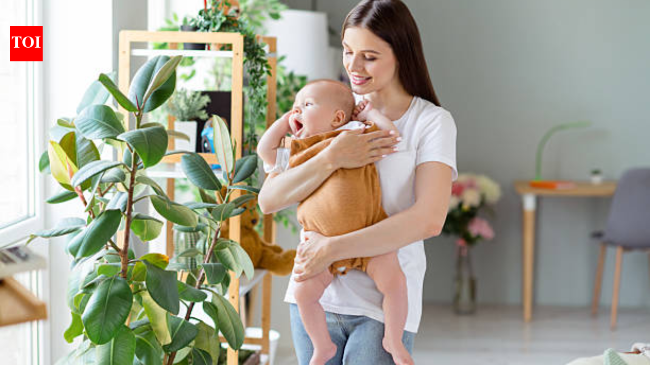 10 signs you may be a Koala parent, and why that’s actually a good thing